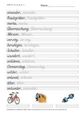 DSS_2S_Bu_er_Nr_11.pdf